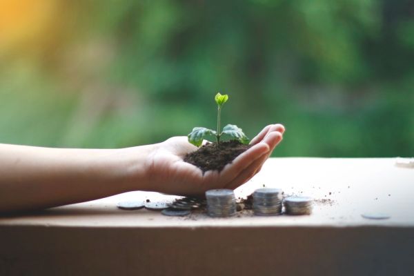 Avis 2020 : dans quel objet peut on trouver de l'or