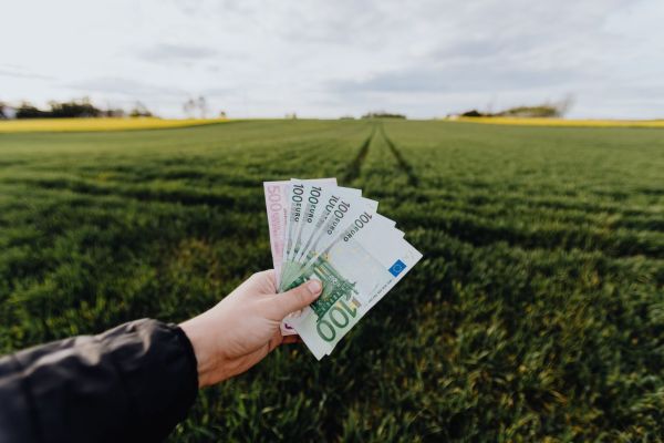 Avis 2020 : investir avec 1000 euros
