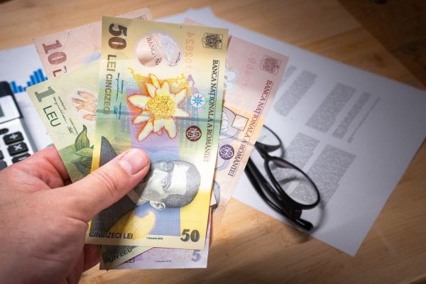 Avis 2020 : pinel dans l' ancien