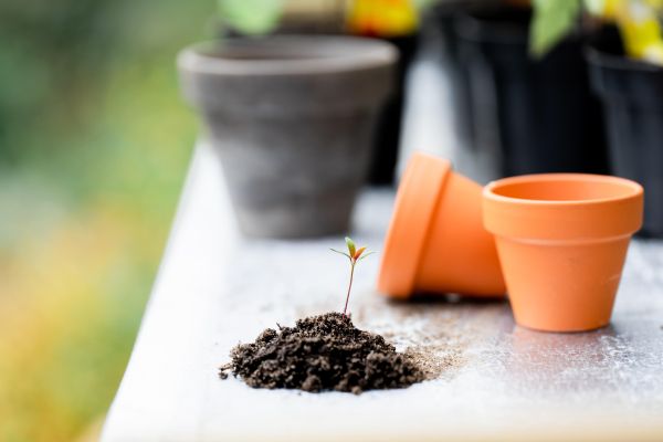 Les solutions : déduction fiscale travaux jardinage