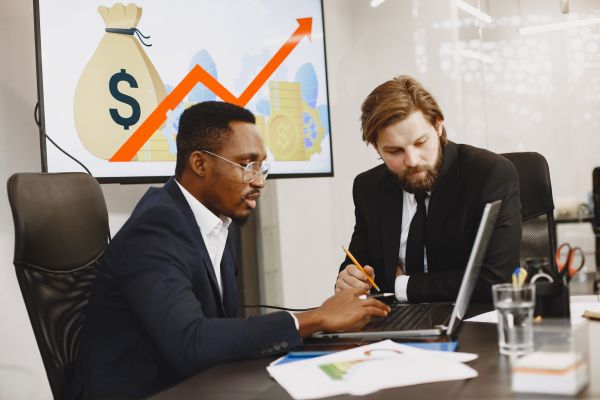 Les solutions : efficacité marginale du capital