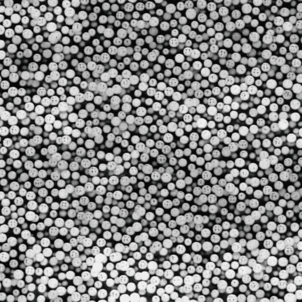 La planification financière pour les familles nombreuses : gérer un budget complexe